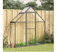 vidaXL Serre avec cadre de base aluminium 169x58x195 cm anthracite