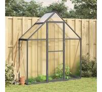 Serre avec cadre de base anthracite 169x58x195 cm aluminium anthracite et transparent G