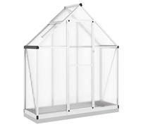 Serre avec cadre de base argenté 169x58x202 cm aluminium