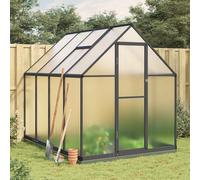 vidaXL Serre avec cadre de base anthracite 334x169x202 cm aluminium