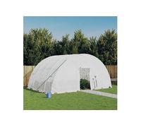 vidaXL Serre avec cadre en acier 24 m² 6x4x2,85 m Blanc