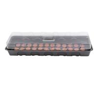 Serre Boîte D'Élevage Propagateur Keimbox 53×15 CM Avec 36 Quelltabs