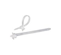 Serre-câble 150 mm x 7.90 mm naturel TC-PHV150203 1592899 crantage intérieur 100 pc(s)