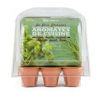 Serre d'aromates bio