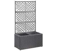 Serre de balcon - Jardinière surélevée avec treillis - 2 pots - 58 x 30 x 107 cm - En polyrotin - Noir - Pour jardins, terrasses, pelouses