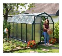 Serre de jardin 6.3m² verte 702468