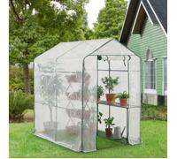 Serre de Jardin Protection Intempéries Porte Zippée Étagères Intégrées pour Fleurs Légumes Herbes Acier Polyéthylène 120 x 186 x 190 cm Blanc Transparent