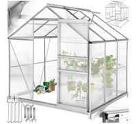 Serre de jardin - TECTAKE - Serre de jardin 5,85 m³, avec fondations, porte coulissante, 185 x 190 x 195 cm - Transparent