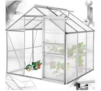 Serre de jardin - TECTAKE - Serre d'extérieur en polycarbonate surface 5,85 m³ porte coulissante 185 x 190 x 195 cm sans fondation