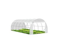 VOUNOT® Serre de Jardin Tunnel 300x600x200cm en Acier Galvanisé PE Haute densité 140 g/m² 18m2 Anti-UV avec Zip Enroulables Idéale pour Toutes Saisons