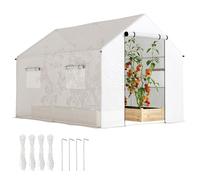Outsunny Serre de jardin tunnel 2 x 3 m (6 m²) porte enroulable 4 fenêtres acier galvanisé blanc