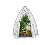 IDMarket Serre d'hivernage dôme 160 x 160 x 180 cm Balcon et terrasse