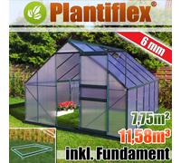 Serre en aluminium 11,58m³ avec fondations 250x310cm Jardin Maison de plantes Serre en aluminium Maison de tomates 7,75m² - vitrage 6mm - vert