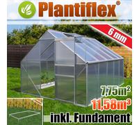 Serre en aluminium 11,58m³ avec fondations 250x310cm Jardin Serre à tomates 7,75m² - vitrage 6mm - argenté