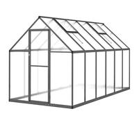 Serre en aluminium avec polycarbonate (PC) - 334 x 169 x 195 cm, cadre de base stable, idéale pour le jardin et la terrasse, durable et résistante aux intempéries