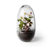 Serre Grow M H x Ø 24x12cm