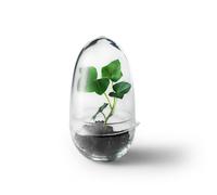 Serre Grow S H x Ø 14x8cm