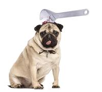 Serre-tête amusant pour animal de compagnie - Ciseaux sanglants effrayants - Chapeau pour chiens et chats - Décoration de fête d'Halloween