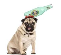 Serre-tête amusant pour animal de compagnie - Ciseaux sanglants effrayants - Chapeau pour chiens et chats - Décoration de fête d'Halloween