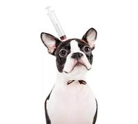 Serre-tête amusant pour animal de compagnie - Ciseaux sanglants effrayants - Chapeau pour chiens et chats - Décoration de fête d'Halloween