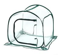 Serre transparente conviviale avec options de contrôle de la température pour favoriser un développement sain des plantes