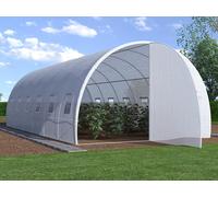 Serre tunnel avec structure en acier galvanisé et porte 18 m² - L300 x l600 x H200 cm - Blanc - ALOCASIA