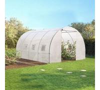 IDMARKET Serre tunnel de jardin Zebra 12 m² (4x3 m) gamme maraîchère blanche