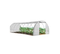 IDMarket Serre tunnel de jardin 4 saisons gamme maraîchère Des Andes 8x3 m 24 m² blanche