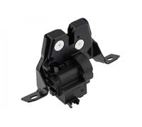 Serrure de capot Hayon du véhicule électrique EZC-BM-437 NTY