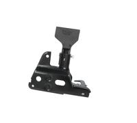 Serrure de capot moteur BLIC 6010-25-0050424P