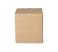 Serrure de coffre Avant du véhicule 6509-01-2596912P BLIC