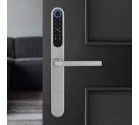 Serrure de porte à empreinte digitale, serrure de porte intelligente avec poignée, serrure de porte numérique