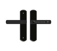 Serrure de porte électronique intelligente à empreintes digitales, avec clés mécaniques, for Tuya, hôtels et bureaux, maison serrure connectée