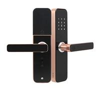 Serrure de Porte Intelligente avec Entrée sans Clé,Clé D'application WiFi Intelligente,Déverrouillage par Empreinte Digitale Biométrique, Serrure de Porte D'entrée sans Clé,Poignée de Porte D'entré