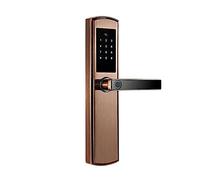Serrure de porte intelligente biométrique d’empreinte digitale Bluetooth, clé électronique à distance et carte à puce ou clé d’urgence TTLOCK Accès par mot de passe (Couleur : Option 1)