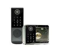 Serrure de porte intelligente Porte extérieure de jardin étanche Double serrure à empreinte digitale Tuya ou TTLock App Code d’accès Carte à puce Sécurité domestique sans clé (couleur : Doub