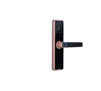 Serrure Electronique, Tuya Bluethooth biométrique empreinte digitale serrure électronique carte RFID déverrouillage à distance serrure de porte intelligente(235 5572,RED BRONZE)