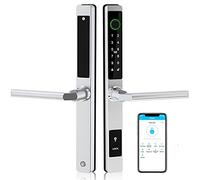 Serrure intelligente sans clé avec empreintes digitales et clavier, appareil de maison intelligente étanche compatible avec Alexa