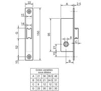 Serrure monopoint à larder profil étroit pêne demi-tour seul petit coffre Série 20 largeur 21mm droite - METALUX - F120211000