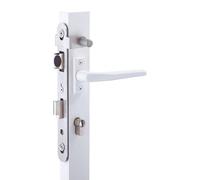 Serrures pêne dormant et demi-tour axe 21 mm 2268 pour portillon de piscine