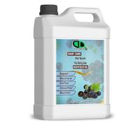 Sérum capillaire pour un usage quotidien à l'huile essentielle de pépins de raisin, hydrate le cuir chevelu et favorise la croissance des cheveux, ajoute de la brillance et protège les cheveux