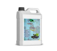 Sérum capillaire pour un usage quotidien à l'huile essentielle de pépins de raisin, hydrate le cuir chevelu et favorise la croissance des cheveux, ajoute de la brillance et protège les cheveux