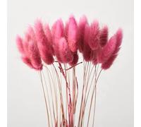 SERVEL 30pcs 100pcs Fluffy Bunny Tails Fleurs Séchées Arrangement Naturel Lapin Queue Herbe pour Vase Boho Floral pour Mariage Décor À La Maison
