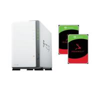 Serveur NAS SYNOLOGY DS223J - 24To - 2x disque dur ST 12To IRONWOLF