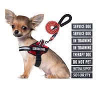 Service Dog Ensemble Harnais et Laisse pour Chien avec 8 Patchs pour Chien, Laisse réfléchissante avec poignée rembourrée Douce pour Chiens de Petite, Moyenne, Grande et très Grande Taille (Rouge, S)