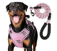 Service Dog Ensemble harnais et laisse tactique pour chien de taille moyenne - Harnais tactique de dressage avec nom (rose, S)