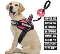 Service Dog Vest Harness and Leash Set, Animire in Training Dog Harness with 8 Dog Patches, Reflective Dog Leash with Soft Padded Handle for Small, Medium, Large, and Extra-Large Dogs (Rosy,L)