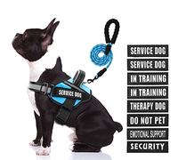 Service Dog Vest Harness and Leash Set, Animire in Training Dog Harness with 8 Dog Patches, Reflective Dog Leash with Soft Padded Handle for Small, Medium, Large, and Extra-Large Dogs (Light Blue,M)