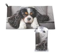 Serviette à séchage rapide en microfibre pour chien Cavalier King Charles Spaniel, 40,6 x 56,9 cm, pour adultes