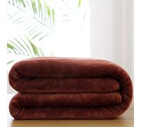 Serviette De Bain pour Salon De Beauté, Grande Serviette De Massage À Séchage Rapide, Serviette De Bain Adulte en Microfibre Absorbante Douce Épaissie, 3 100 X 200 Cm